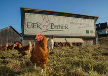 Hof Becher in Overath: Hühnermobil & Eierverkauf